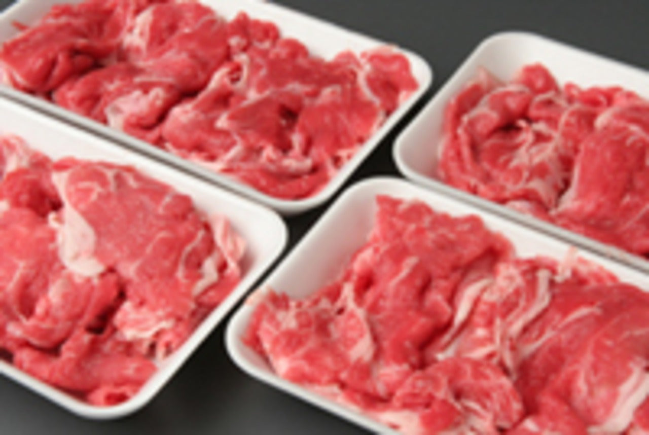 飛騨牛A5等級 切り落としお得パック 250g×4(総量1kg)(6718)