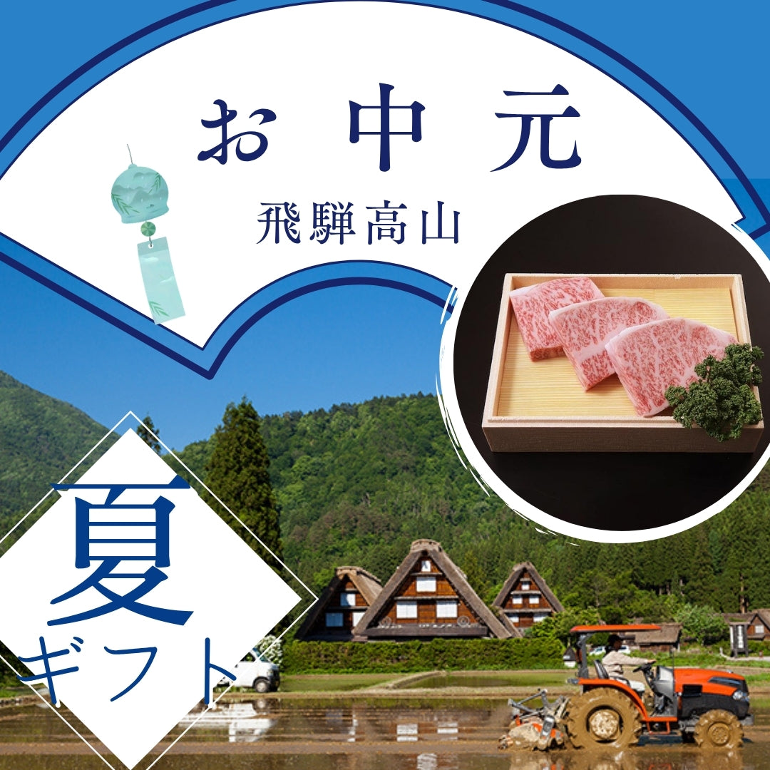 飛騨高山お中元セットA　(20438)